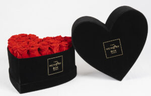 Red Preserved Roses